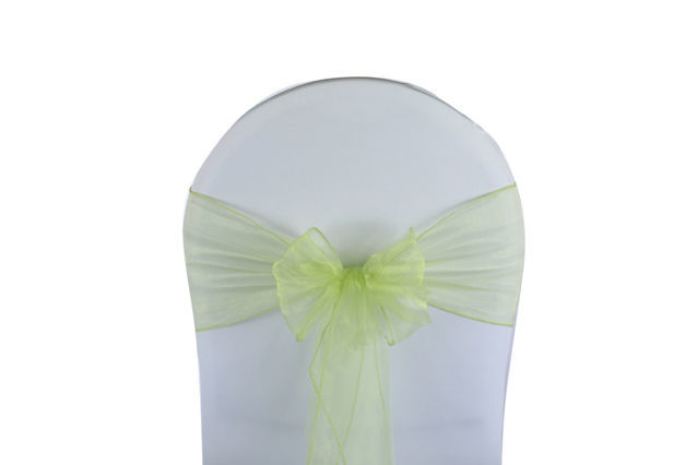  - NOEUD ORGANZA VERT